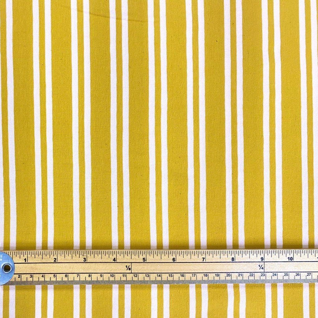 Double Stripe Cotton Jersey Fabric