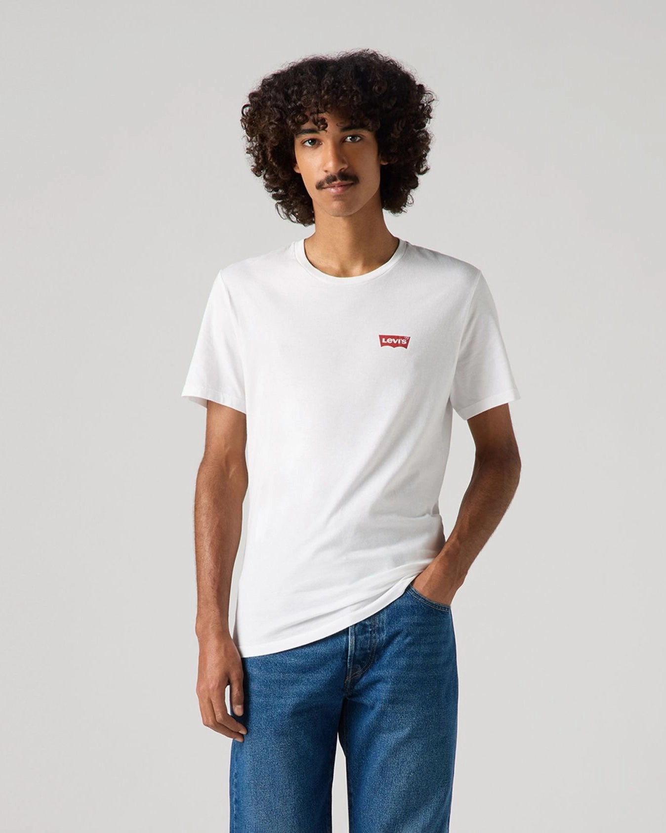 Levi's® 2-Pack Housemark Graphic Crewneck Tees - White / Caviar