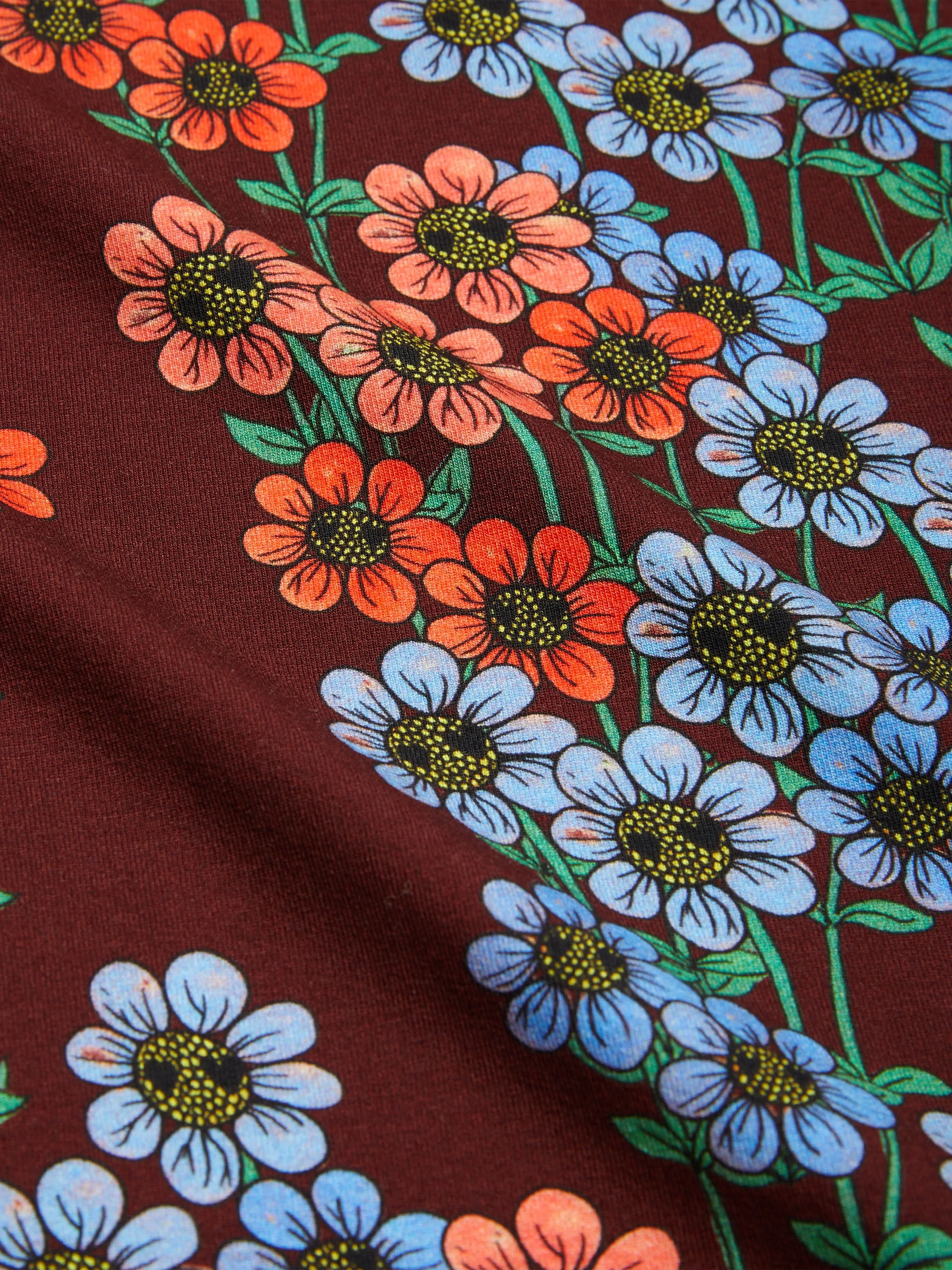 Mini Rodini Mädchen Gänseblümchen Langarm T-Shirt in Mehrfarbig